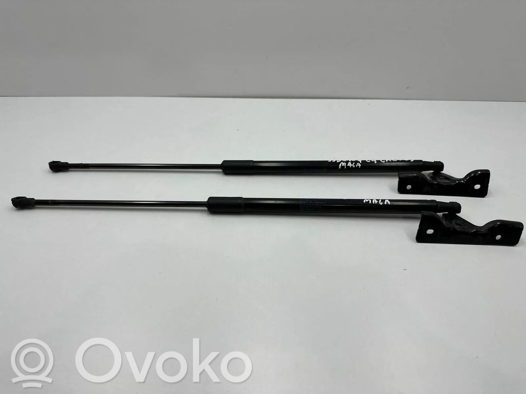 Citroen C4 Cactus Tailgate/trunk strut/damper 