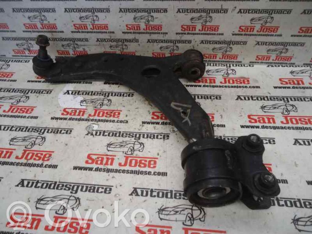 Front lower control arm/wishbone