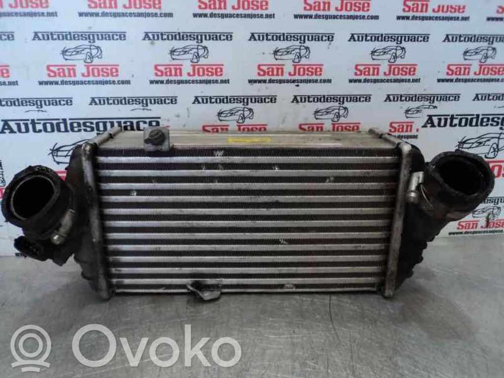 Radiador intercooler