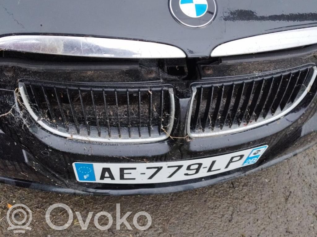 Front grill   51137120008