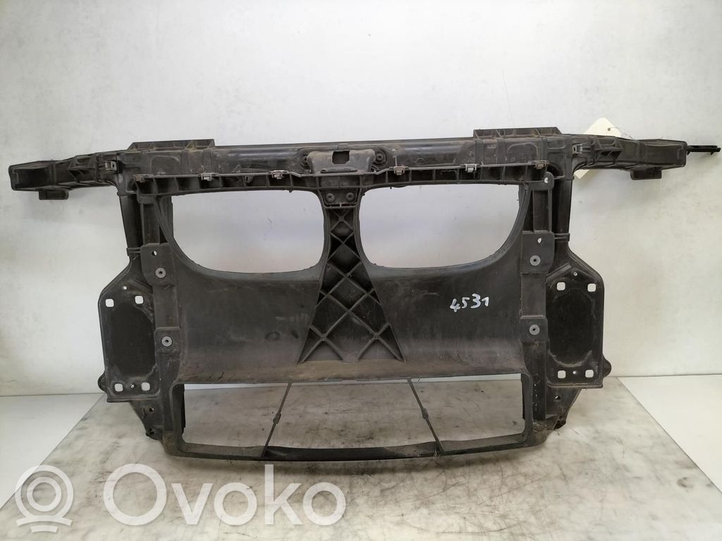 BMW 1 E81 E87 Radiatorių panelė 