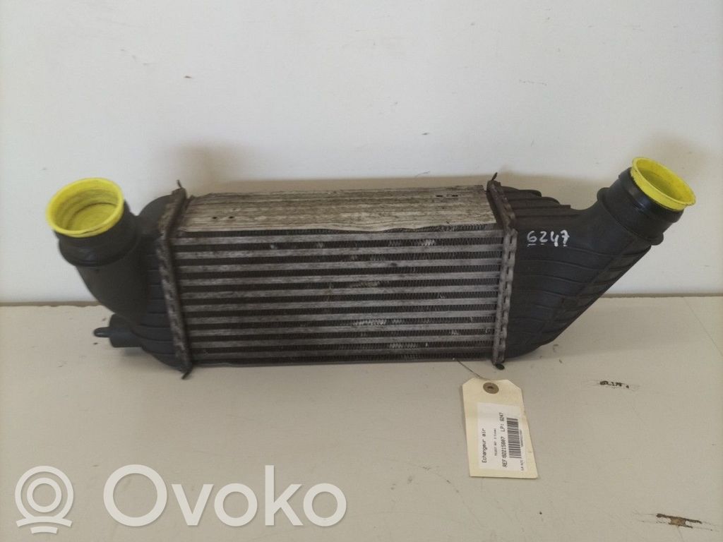 Peugeot 807 Intercooler radiator 