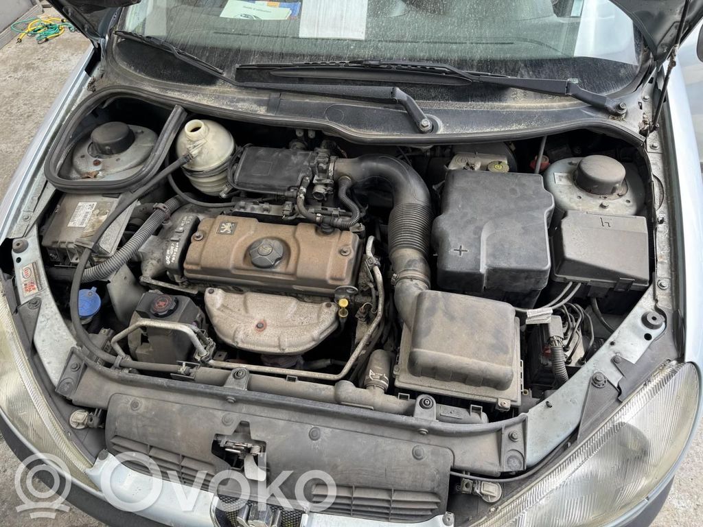 Peugeot 206 Starteris 