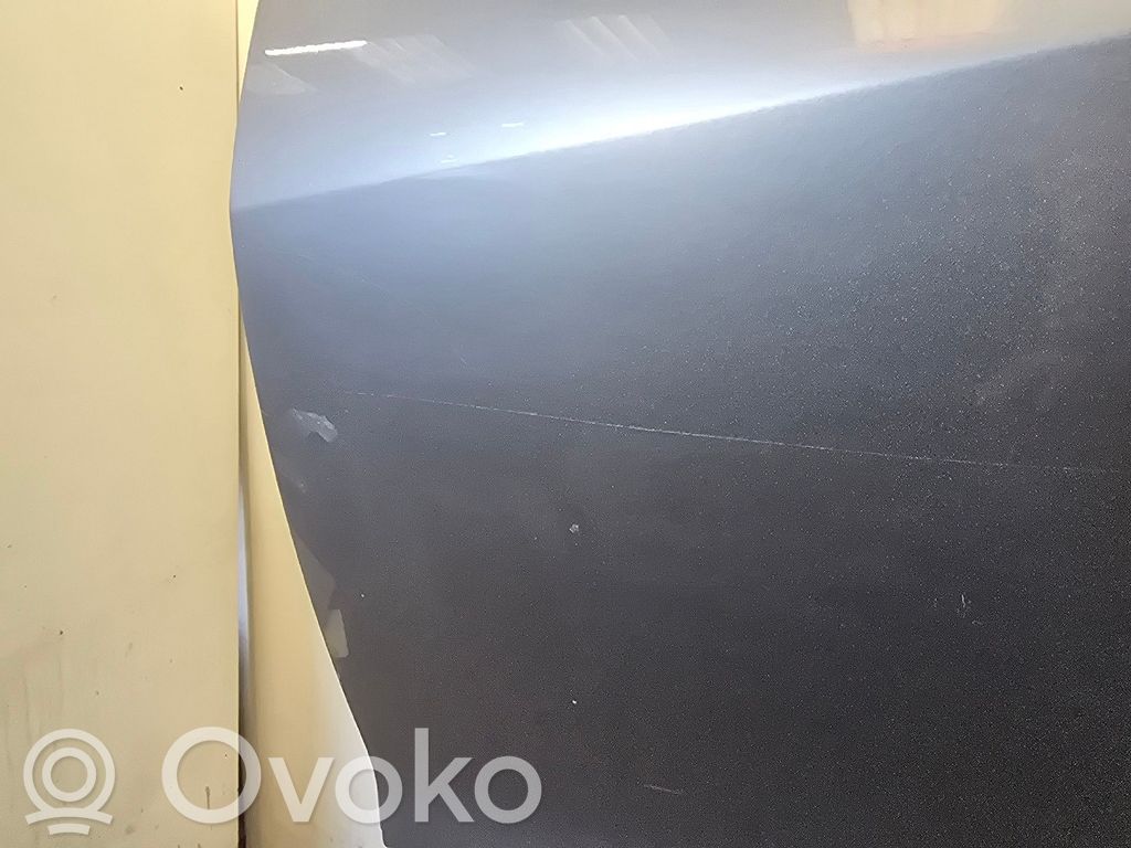 Puerta trasera   DFY17302XJ