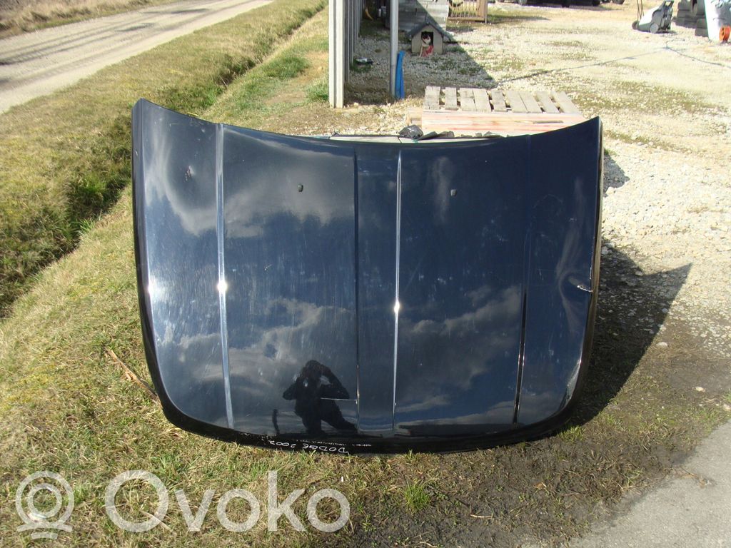 Engine bonnet/hood
