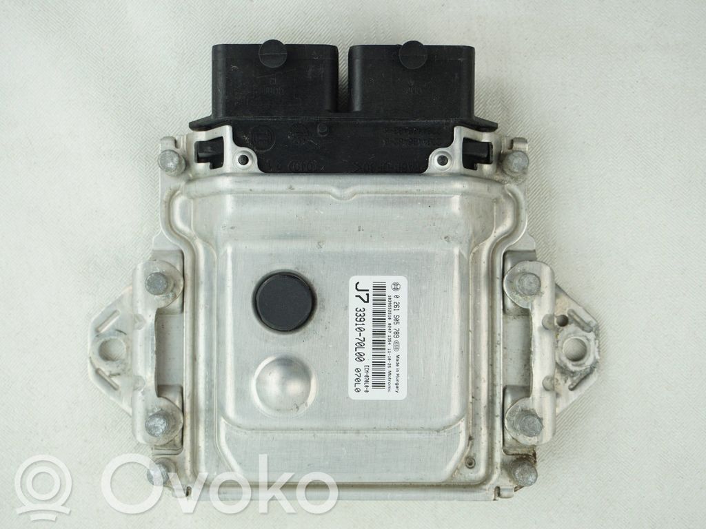 Engine control unit/module   3391070L00,0261S05789
