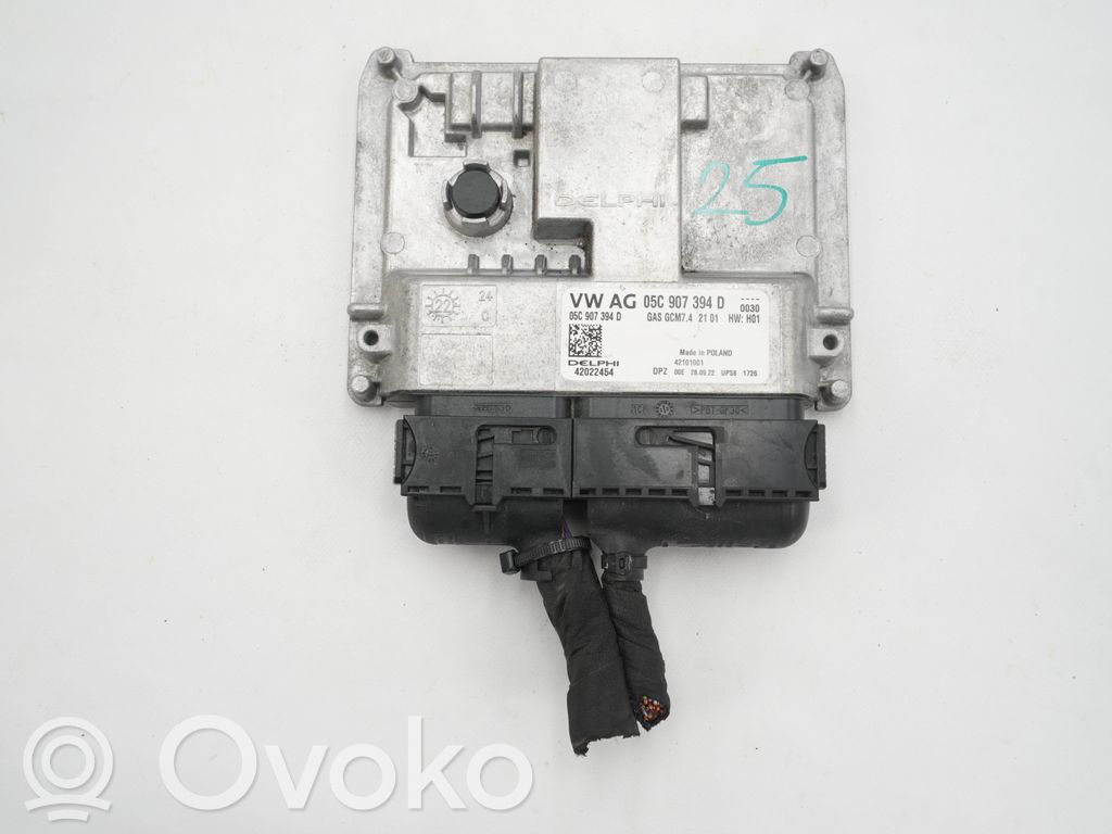 Skoda Fabia Mk4 (6VA) Engine control unit/module 