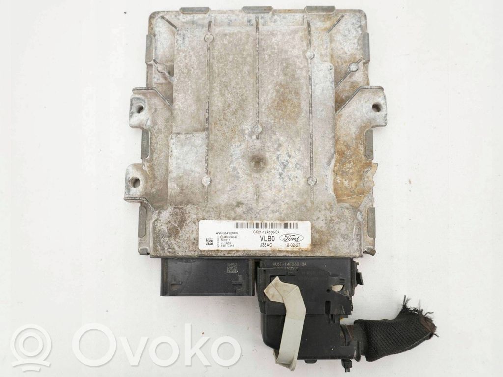 Ford Transit Custom Engine control unit/module 