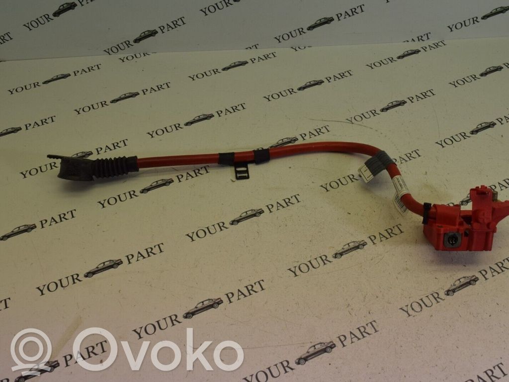 BMW 7 F01 F02 F03 F04 Positive wiring loom 