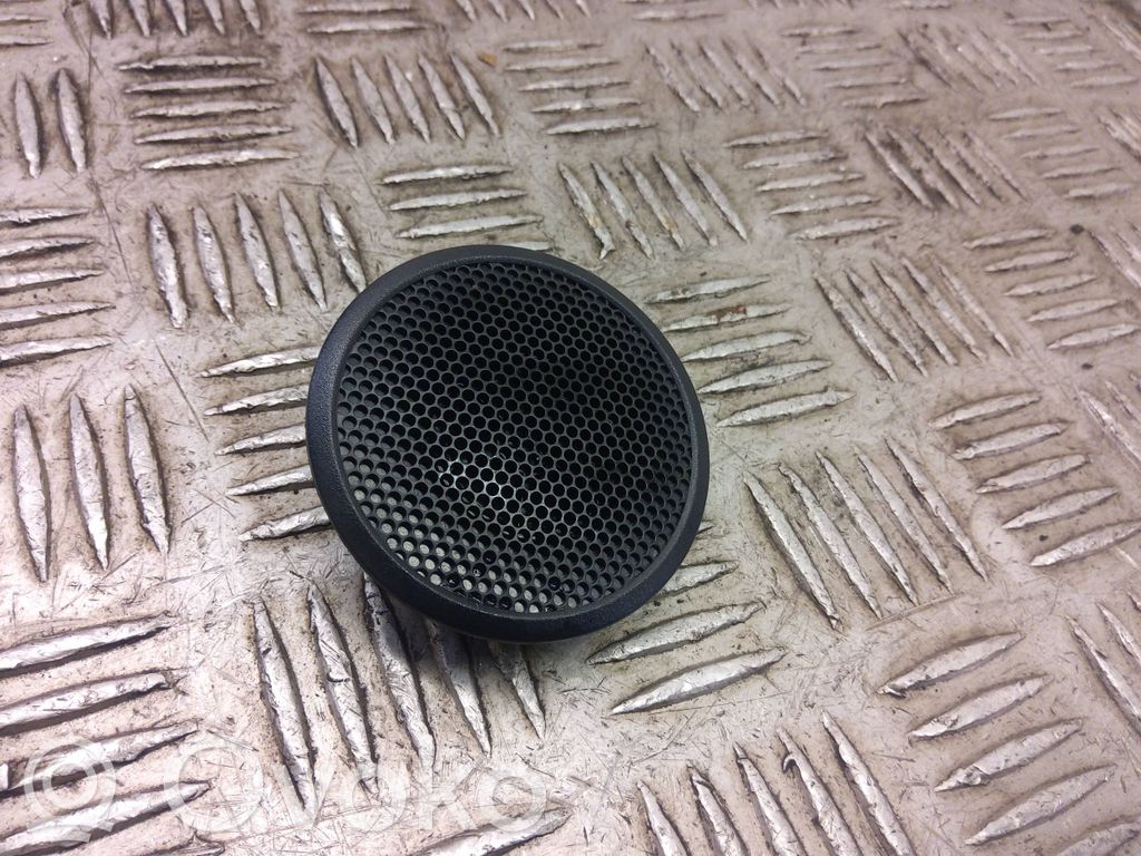 Panel speaker   D10E66960
