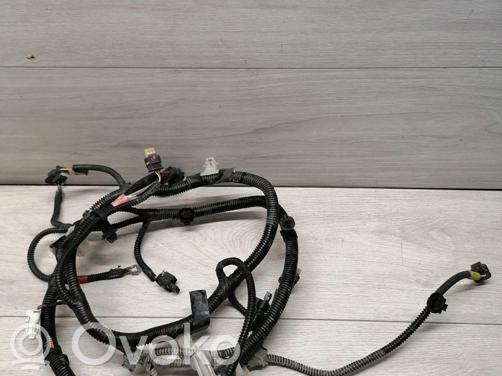 Cableado del sensor de aparcamiento (PDC)   106795800E