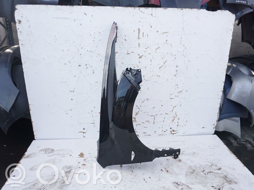 Fender   BOTNIK