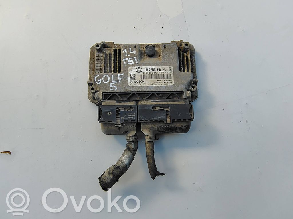 Volkswagen Golf V Engine control unit/module 