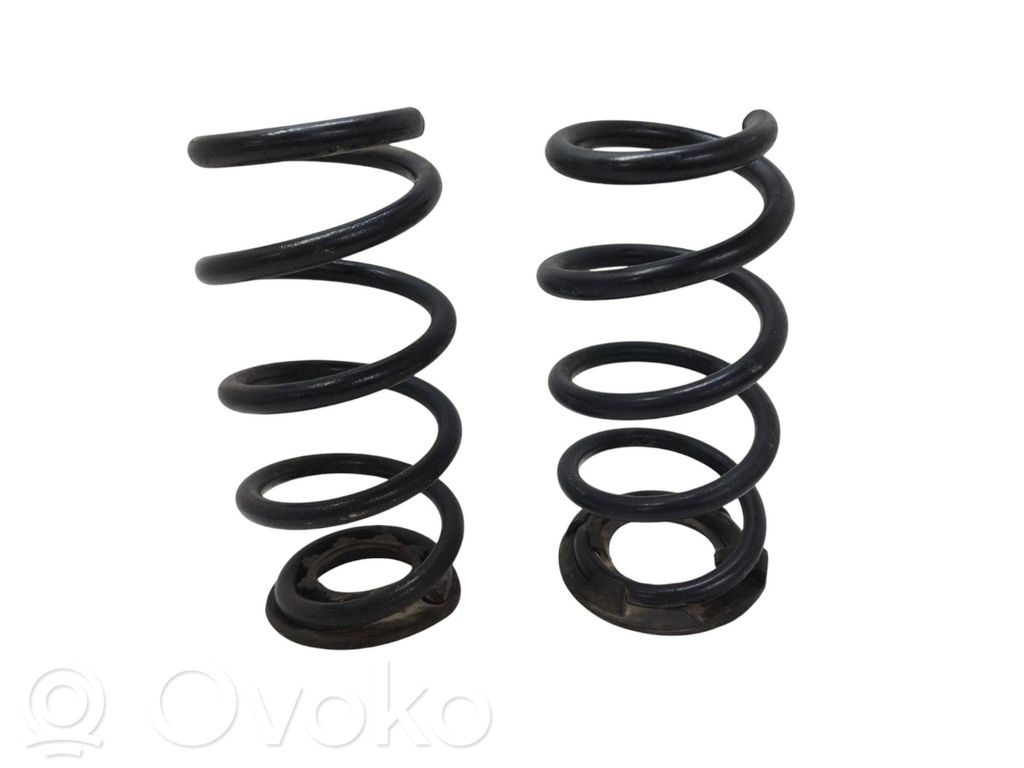 Tesla Model 3 Rear coil spring 