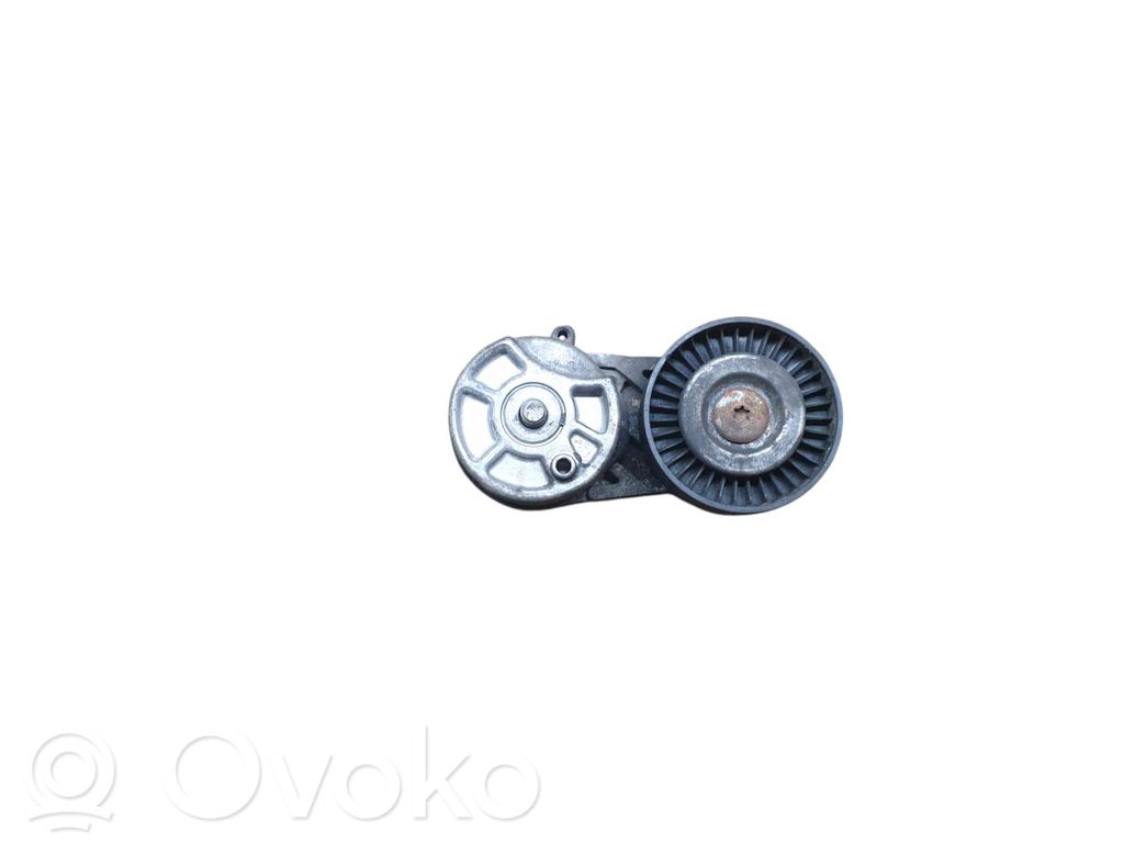Ford Transit Napinacz paska alternatora 