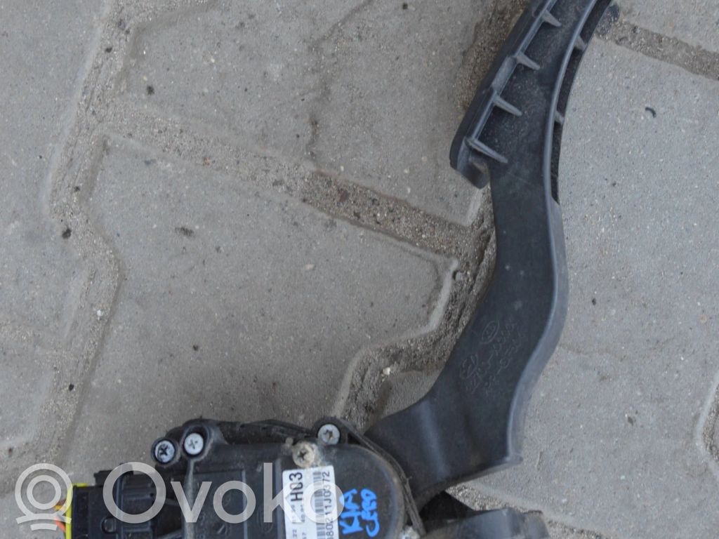 Accelerator pedal position sensor   080211J0372