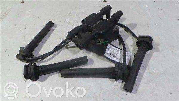 High voltage ignition coil   ECB