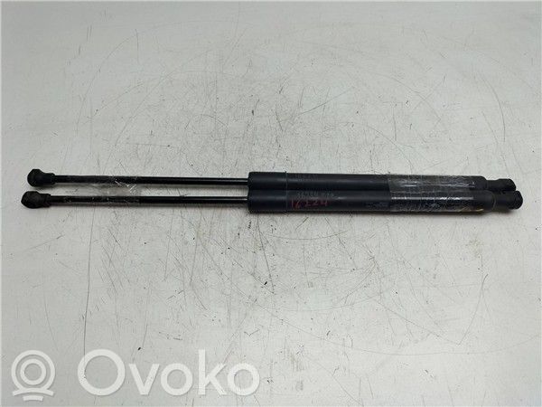 Citroen C3 Bagāžnieka balsts 