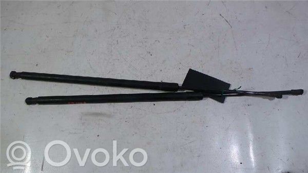 BMW 3 E46 Atrama galinio dangčio 