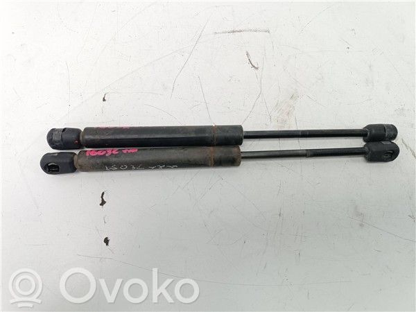 Audi A4 S4 B6 8E 8H Amortiguador del maletero/compartimento de carga 