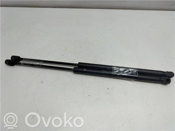 Peugeot 207 CC Tampon hayon/capotă portbagaj 