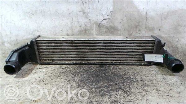 Intercooler radiator   204D1