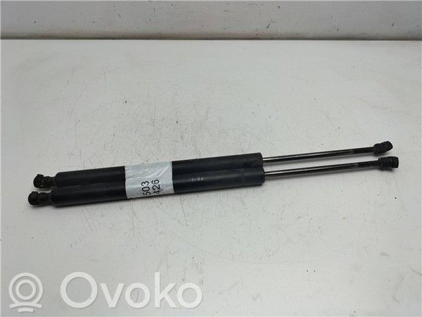 Tailgate/trunk/boot lid buffer   QXWB