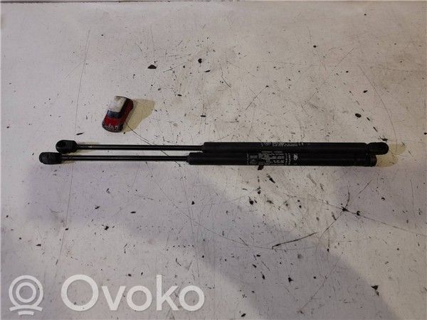 Fiat Punto (188) Amortiguador del maletero/compartimento de carga 