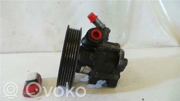 Power steering pump   5230750
