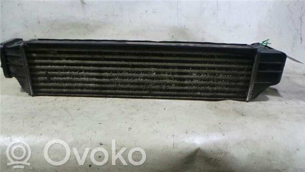 Intercooler radiator   204D4