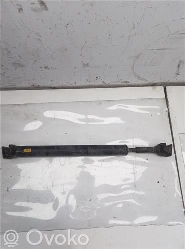 Eje de transmisión delantero   D4CB,491003E300