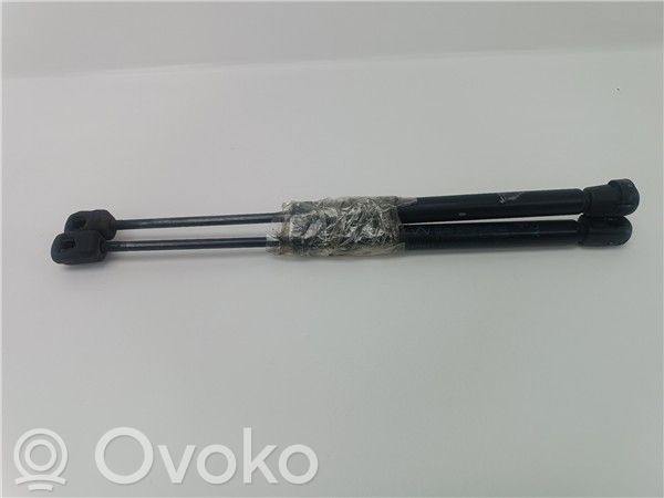 Chrysler 300 - 300C Takaluukun/tavaratilan rajoitin 
