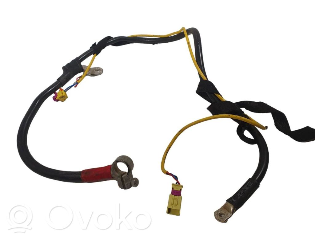 Pluskaapeli (akku)   4F0971225F