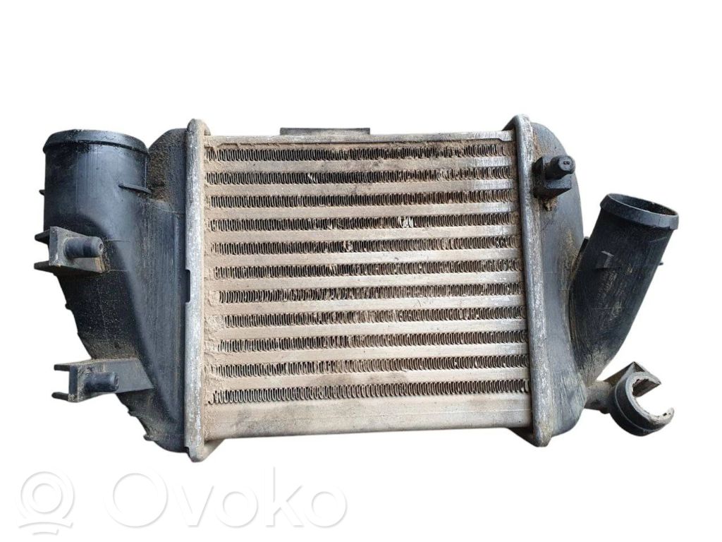 Audi A4 S4 B6 8E 8H Interkūlerio radiatorius 