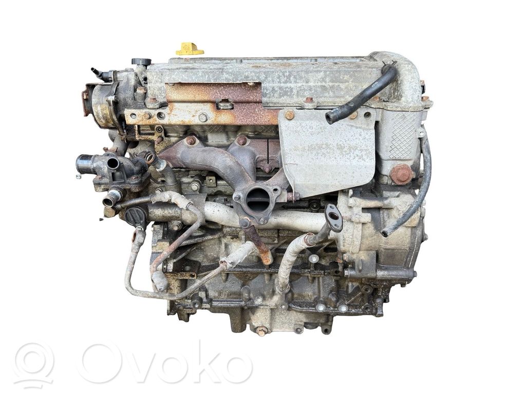 Engine   B207L,Z20NLL
