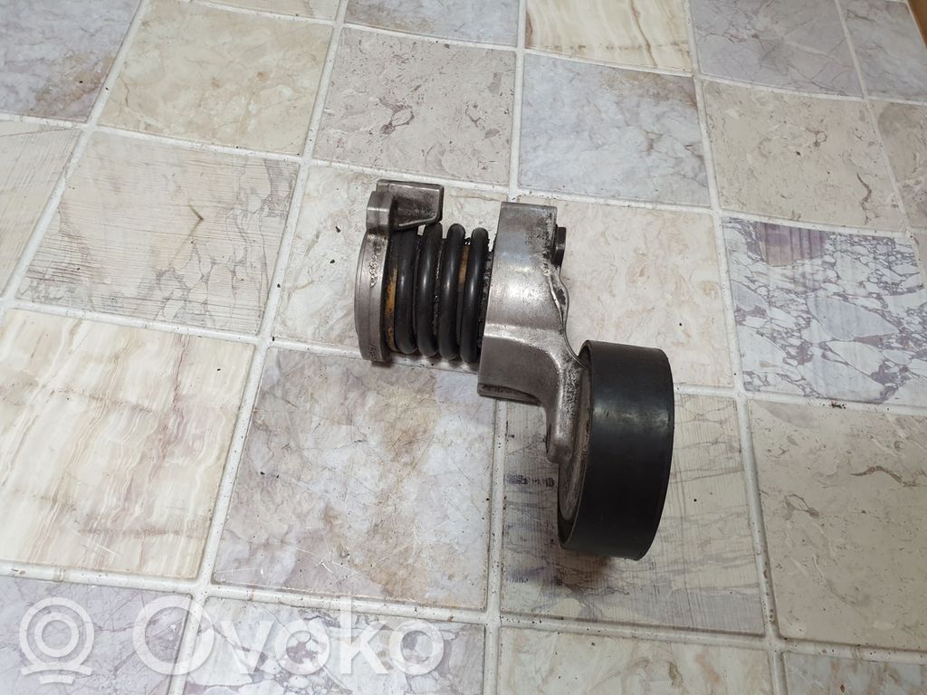 Napinacz paska wielorowkowego / Alternatora   03E903133,000997