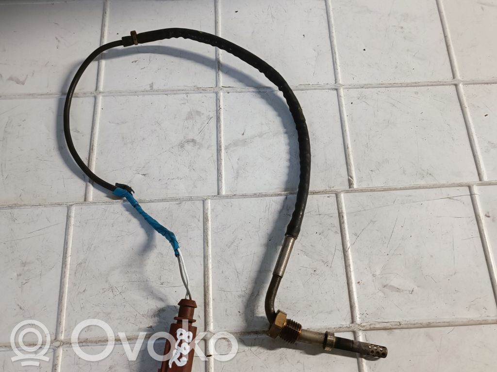 Volkswagen Tiguan Išmetamųjų dujų temperatūros daviklis 