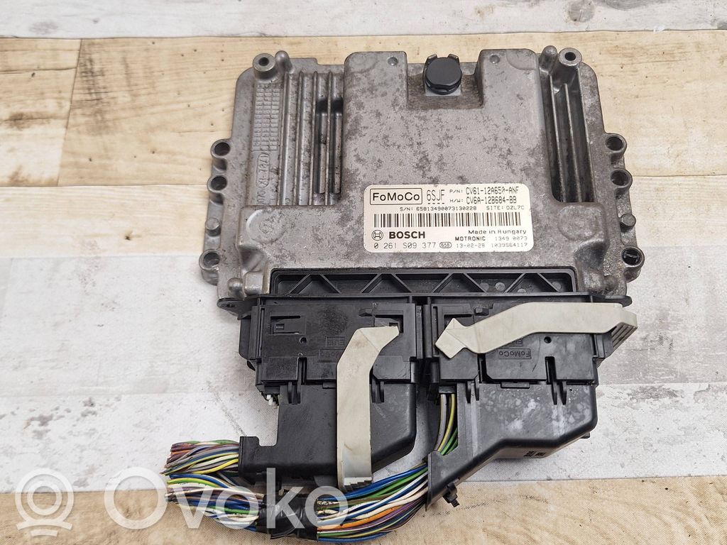 Ford Focus Engine control unit/module 