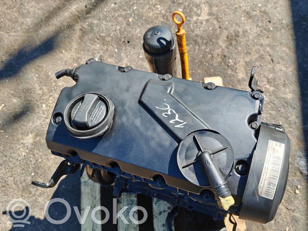 Volkswagen PASSAT B5.5 Motor 