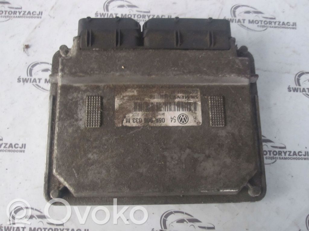 Volkswagen Golf IV Engine control unit/module 