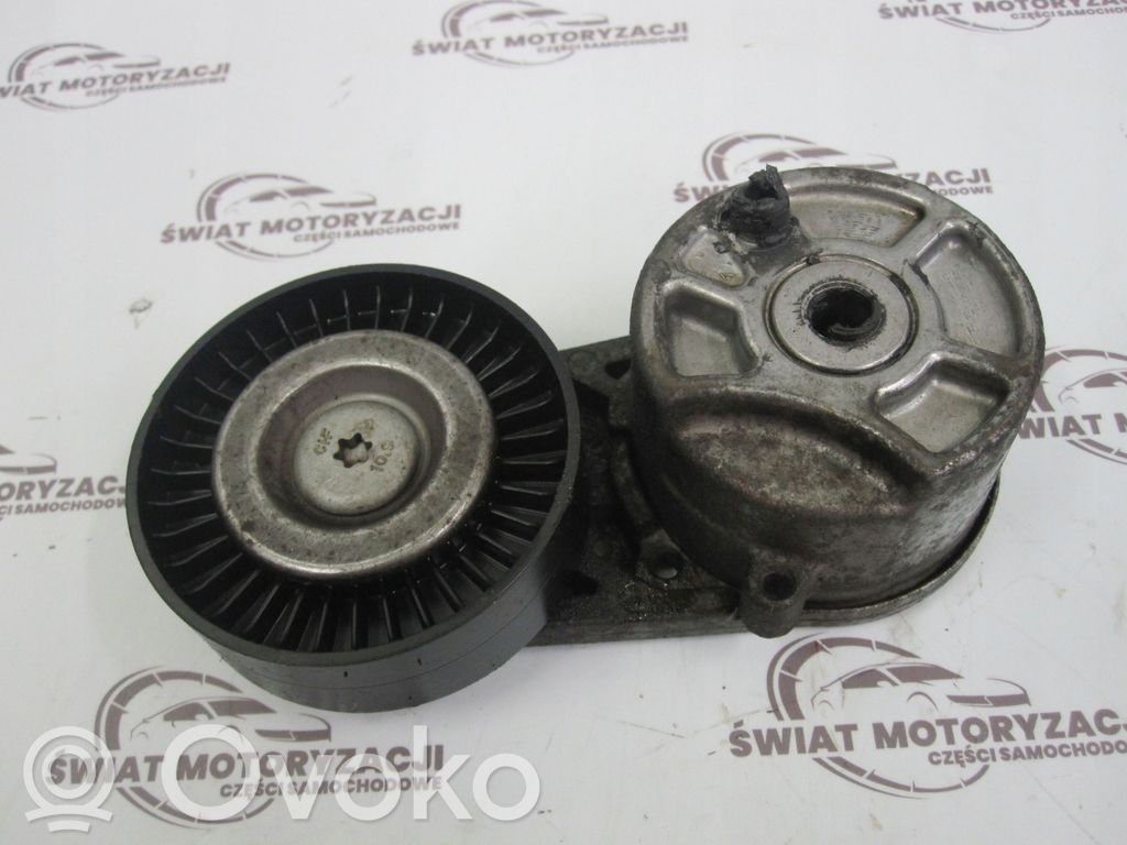 Ford Transit Custom Napinacz paska alternatora 