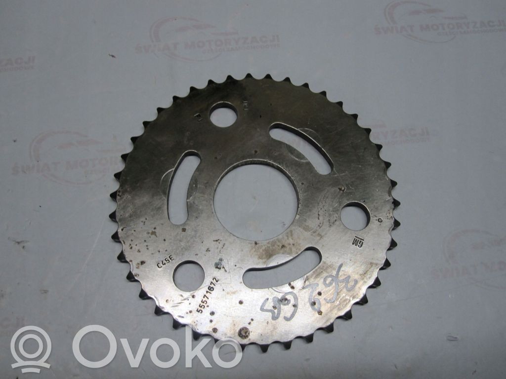 Opel Astra J Timing chain sprocket 