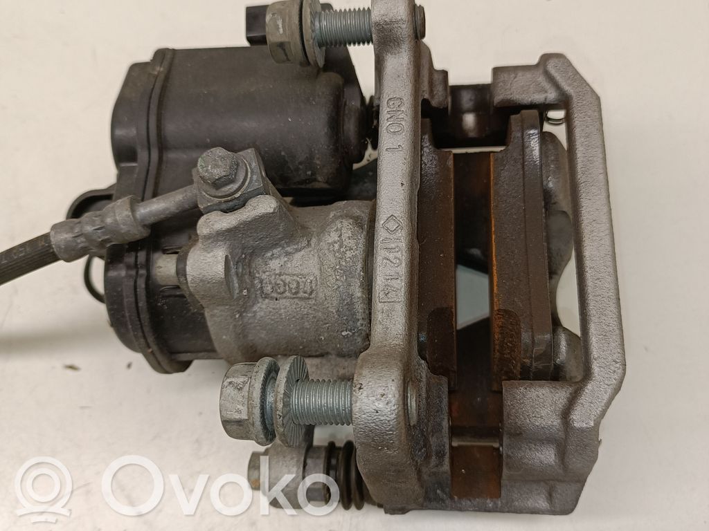 Takajarrusatula   8W0406CF,ACR001