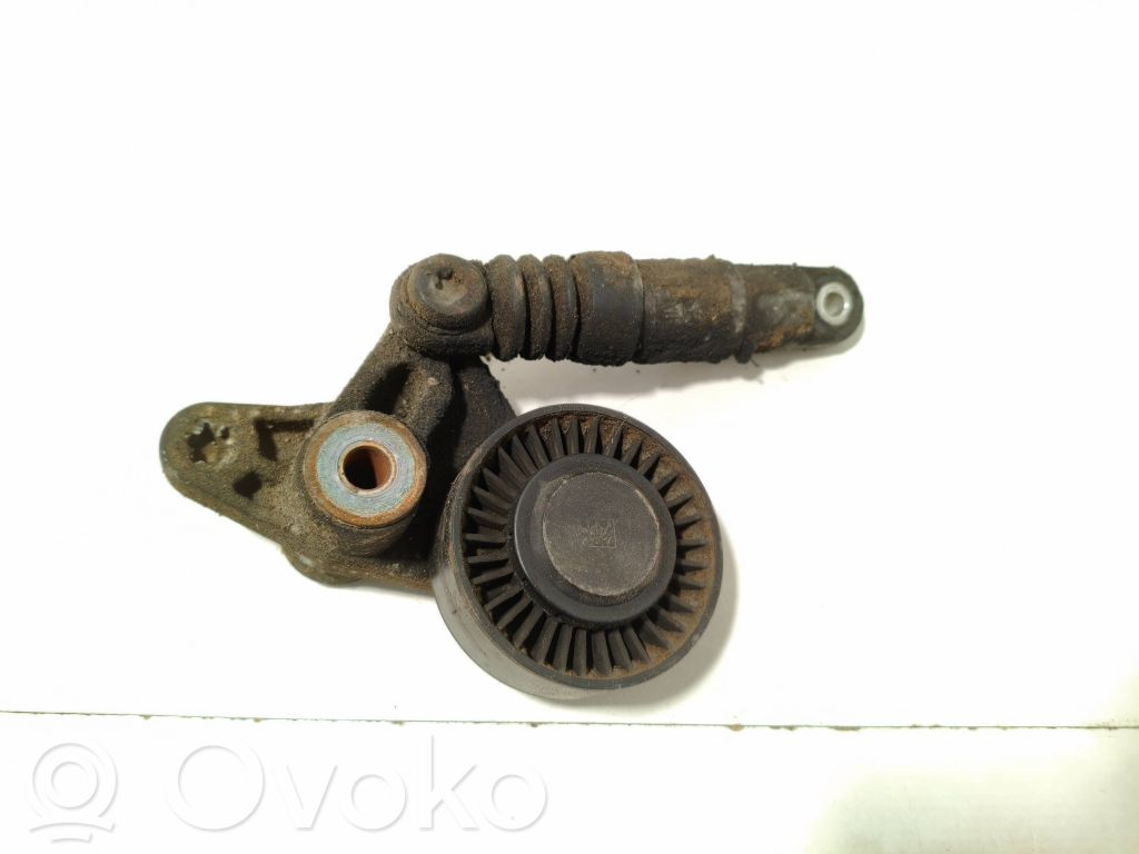 Audi A6 S6 C6 4F Diržo įtempėjas 