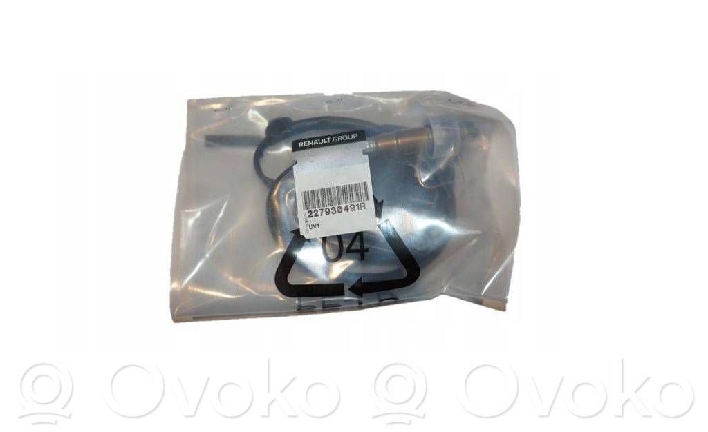 Sonde lambda   227930491R