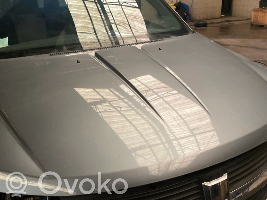 Dodge Journey Dzinēja pārsegs (vāks) 