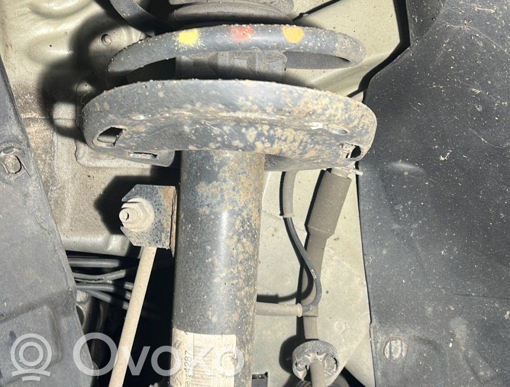 Citroen C3 Front shock absorber with coil spring 