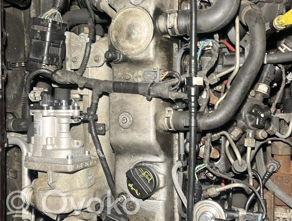 Ford Focus Motor 