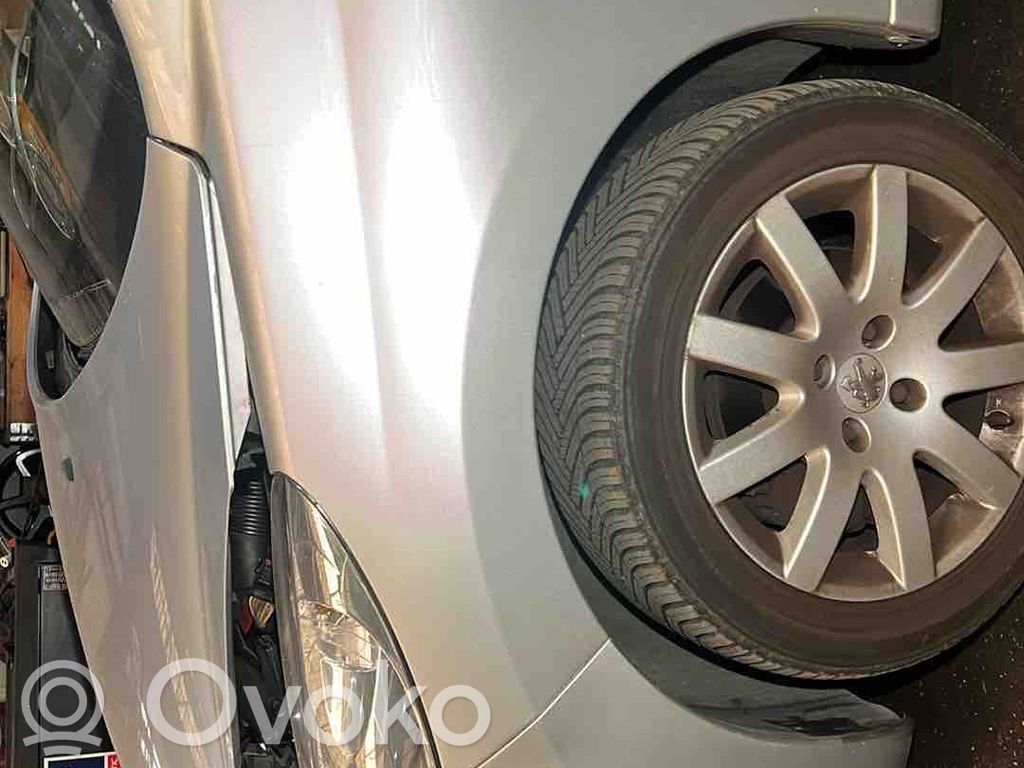 Peugeot 207 Parafango 