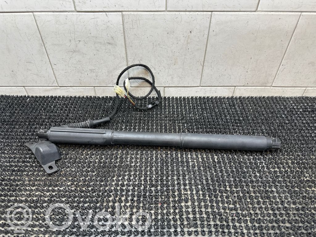 Tailgate/trunk strut/damper   4887652